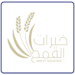 شركة تسويق الكتروني في السعودية